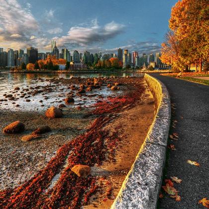 Stanley Park Vancouver - Herbst