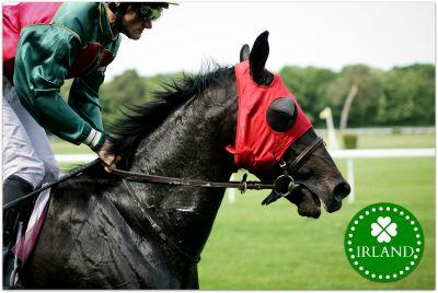 Sport in Irland - Horse Racing