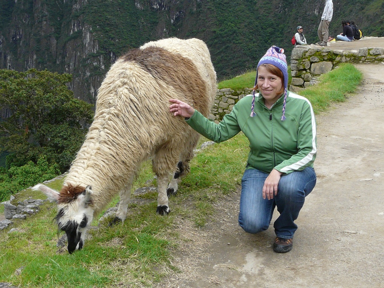 Freundschaft schlieÃen mit einem Lama in Peru